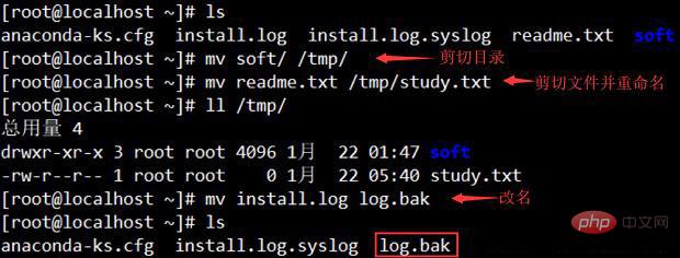 常用的linux命令