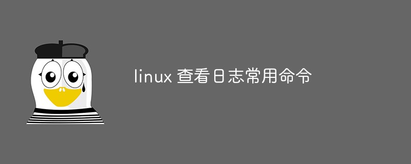 2021062013281715267230 linux 查看日志常用命令