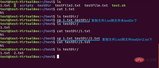 linux中如何使用cp命令复制文件