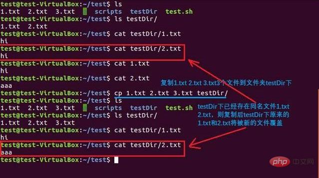 linux中如何使用cp命令复制文件