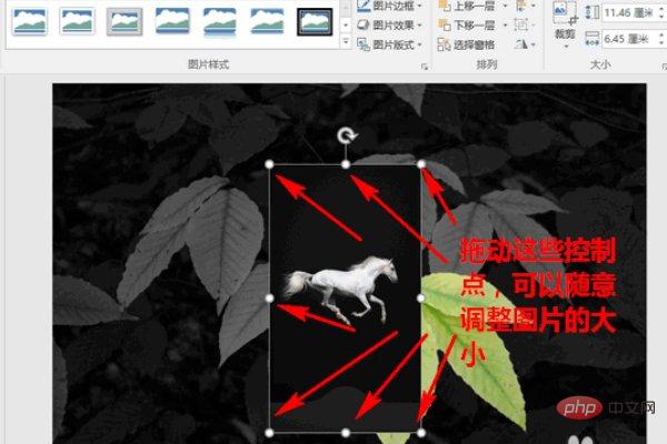 ppt如何去除图片背景