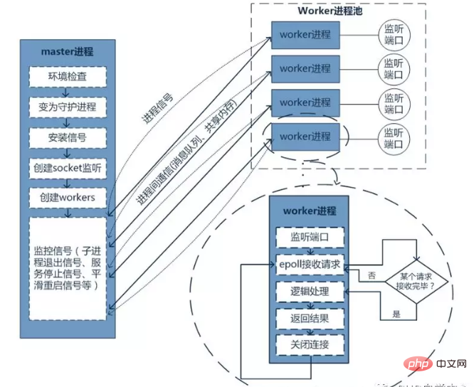 【高级】workman 和swoole 有哪些区别和异同