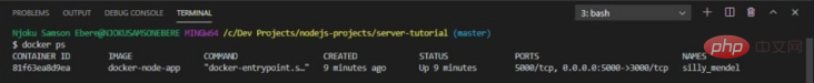 详解使用Docker给nodejs程序打包的方法
