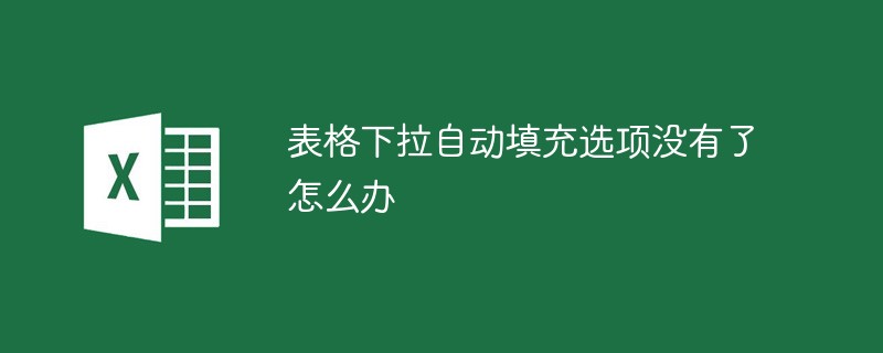 2021062014594510022640 表格下拉自动填充选项没有了怎么办