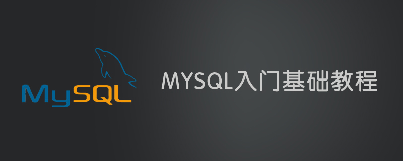 2021062103225317193900 #和$的区别