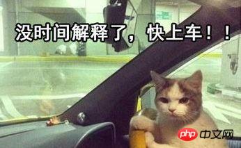 1488524597712998.jpg 快速获取自己想要的学习资源也是一种技能!