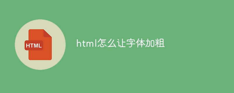 2021062103483519483720 html怎么让字体加粗