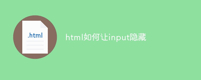 2021062103483914902630 html如何让input隐藏