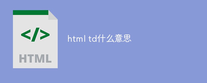 2021062103490517385660 html td什么意思