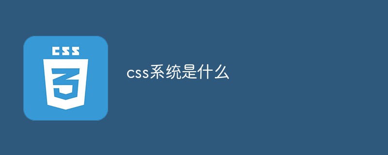 2021062104094016879860 css系统是什么