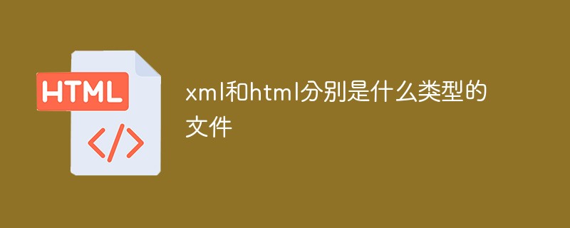 2021062104095318532360 xml和html分别是什么类型的文件