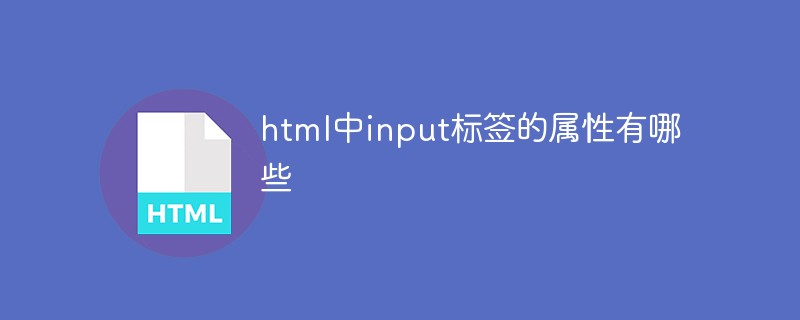 2021062104095519785630 html中input标签的属性有哪些