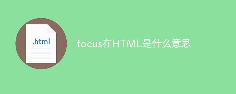 2021062104101017238720 focus在HTML是什么意思