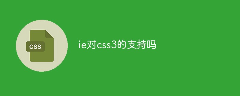 2021062104102912645490 ie对css3的支持吗