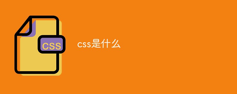 2021062104104111849210 css是啥