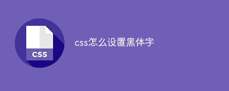 2021062104110511121950 css怎么设置黑体字