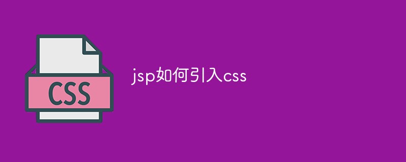 2021062104112215513010 jsp如何引入css