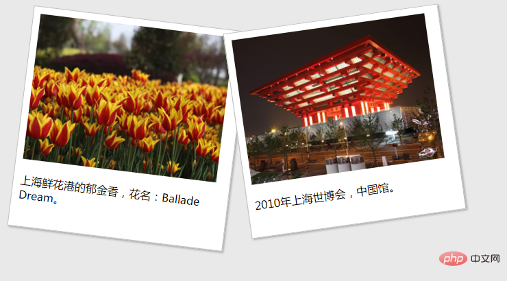 css怎么设置transform