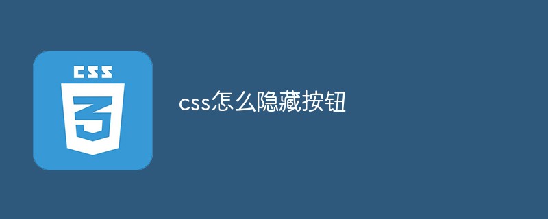 2021062104263215209310 css怎么隐藏按钮