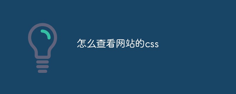 2021062104281910173940 怎么查看网站的css