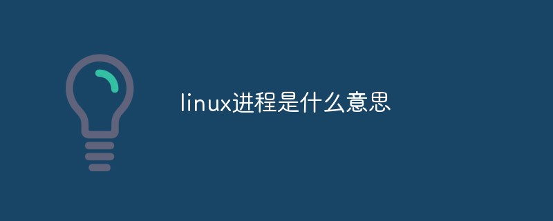 2021062104462015436470 linux进程是什么意思