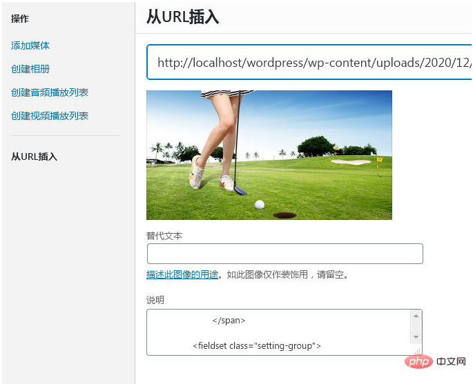 WordPress5.6 “从URL插入”图片BUG问题的解决