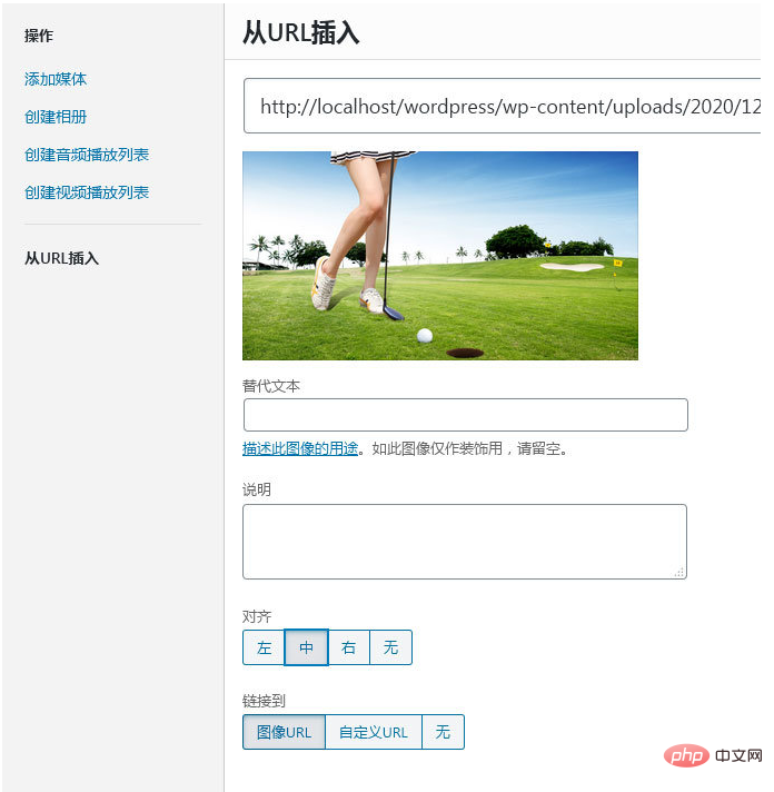 WordPress5.6 “从URL插入”图片BUG问题的解决