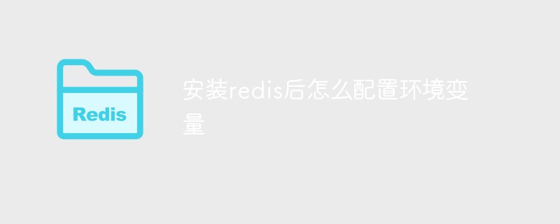 安装redis后怎么配置环境变量