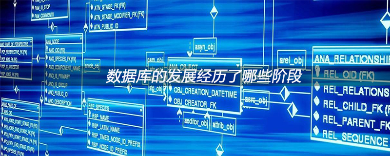 2021062106192010235660 数据库的发展经历了哪些阶段
