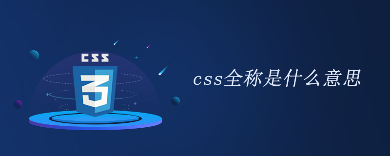 2021062106250419426010 css全称是什么意思