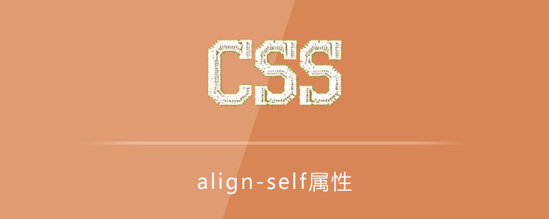 2021062106252511504370 css align