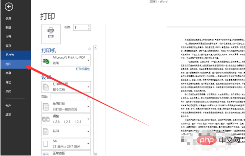 word怎么打印预览