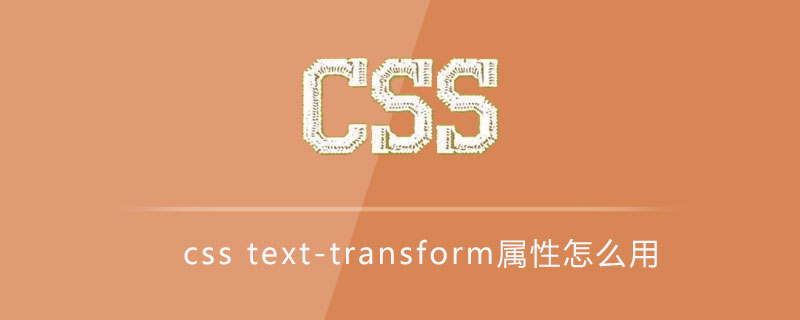 css text