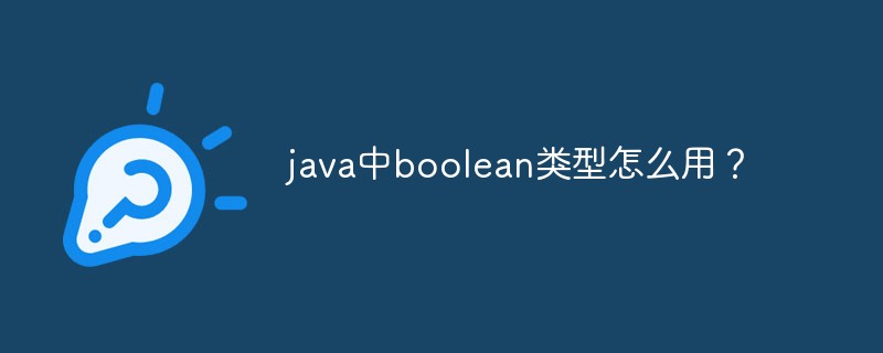 2021062106341811987460 java中boolean类型怎么用?