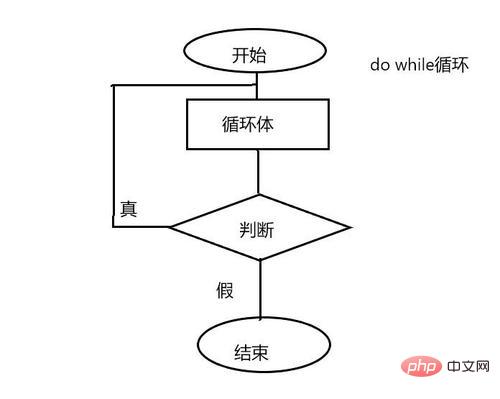 1622095577521515.jpg PHP while循环该如何使用呢?(附详解)