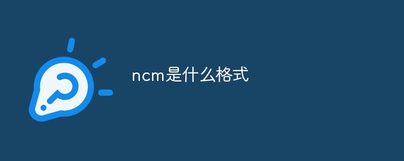 ncm是什么格式