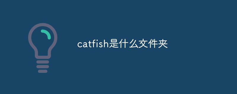 2021062106550810271750 catfish是什么文件夹