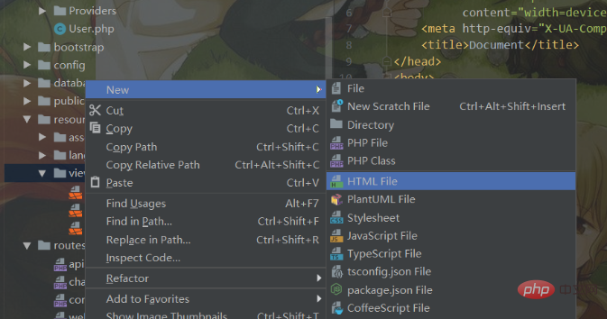 如何用phpstorm写html5