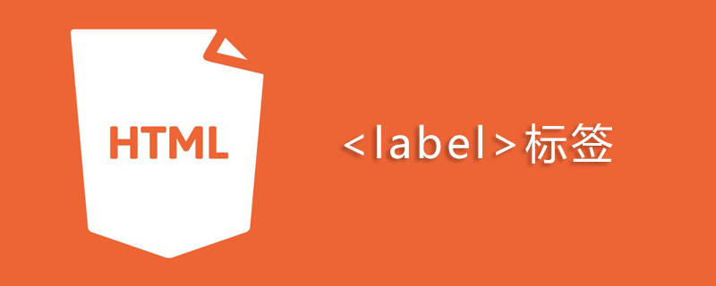 2021062107360717531650 html label标签怎么用