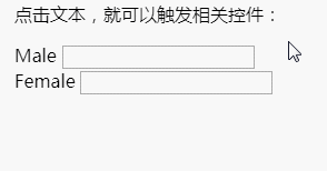 1558934608845613.gif html label标签怎么用