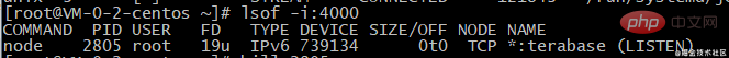 1620268449444173.png 详解Linux服务器中部署Nodejs项目的方法