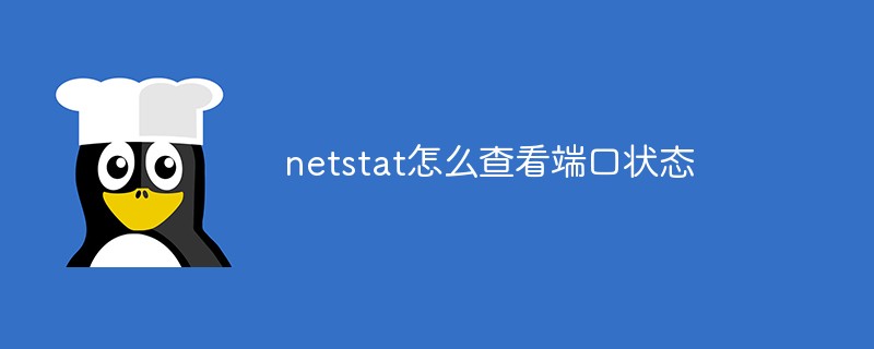 2021062107413613810430 netstat怎么查看端口状态