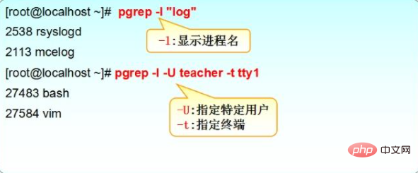linux如何查看进程