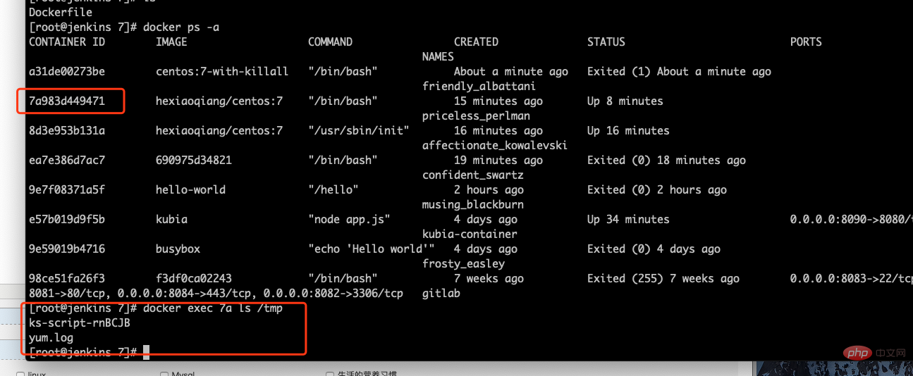 如何查看docker容器内的文件