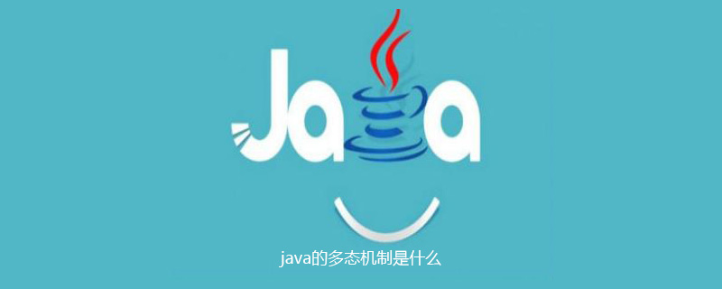 2021062108043710656490 java的多态机制是什么