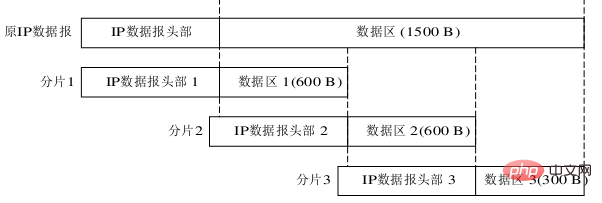 ip数据报的格式是什么