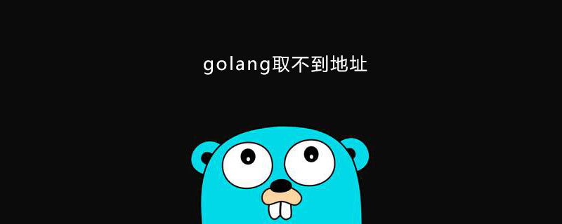 2021062108252514693790 关于golang中无法获取地址问题的解析