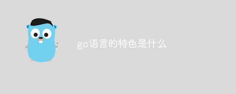 2021062108271612148040 go语言的特色是什么