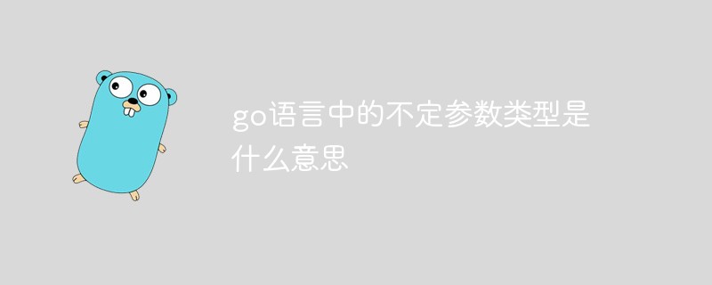 go语言中的不定参数类型是什么意思