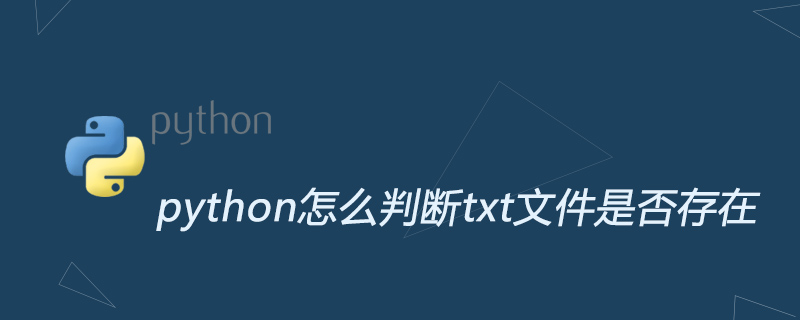 python怎么判断txt文件是否存在